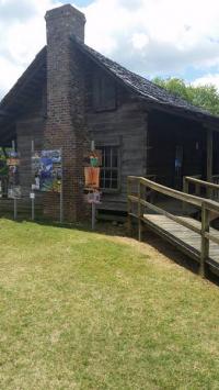 Arc in the Park 2016 photo 16