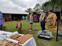 Arc in the Park 2017 photo 33