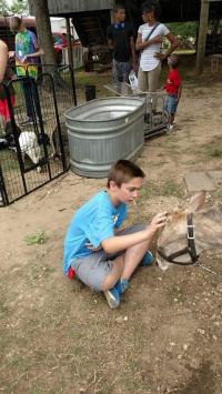Arc in the Park 2017 photo 7