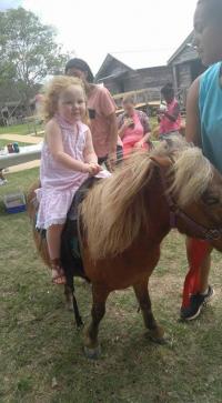 Arc in the Park 2017 photo 3