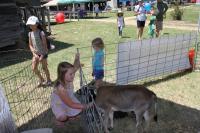 2019 Arc In The Park photo 41