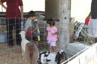 2019 Arc In The Park photo 79