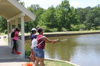 2019 Arc In The Park photo 62