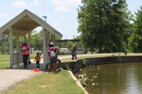 2019 Arc In The Park photo 66