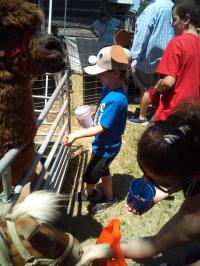 2019 Arc In The Park photo 128