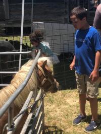 2019 Arc In The Park photo 171