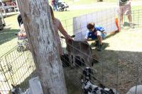 2019 Arc In The Park photo 37