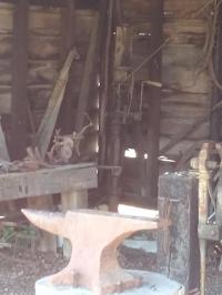 2019 Arc In The Park photo 95