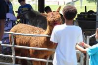 2019 Arc In The Park photo 118