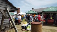 Picnic 2015 photo 8