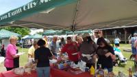 Picnic 2015 photo 9